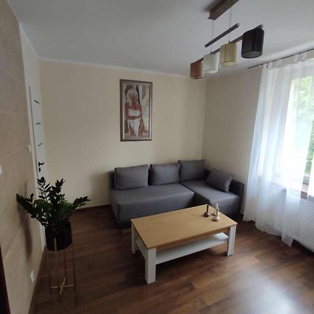 Obok Szczesliwej 7 Lägenhet Gliwice Exteriör bild